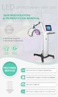 Acne Treatment PDT Photodynamic Therapy Machine LED Facial Skin Mask Beauty