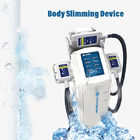 230VAC Cryolipolysis Slimming Machine Weight Loss wind cooling 30cm×40cm×90cm 30kg