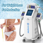 Weight Loss Cryolipolysis Slimming Machine Fat Reduction With 3 Handles