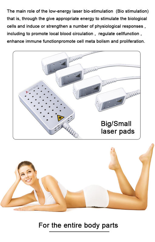 Anti Cellulite Lipo Laser Slimming Machine For Fat Loss No Recovery Period OEM