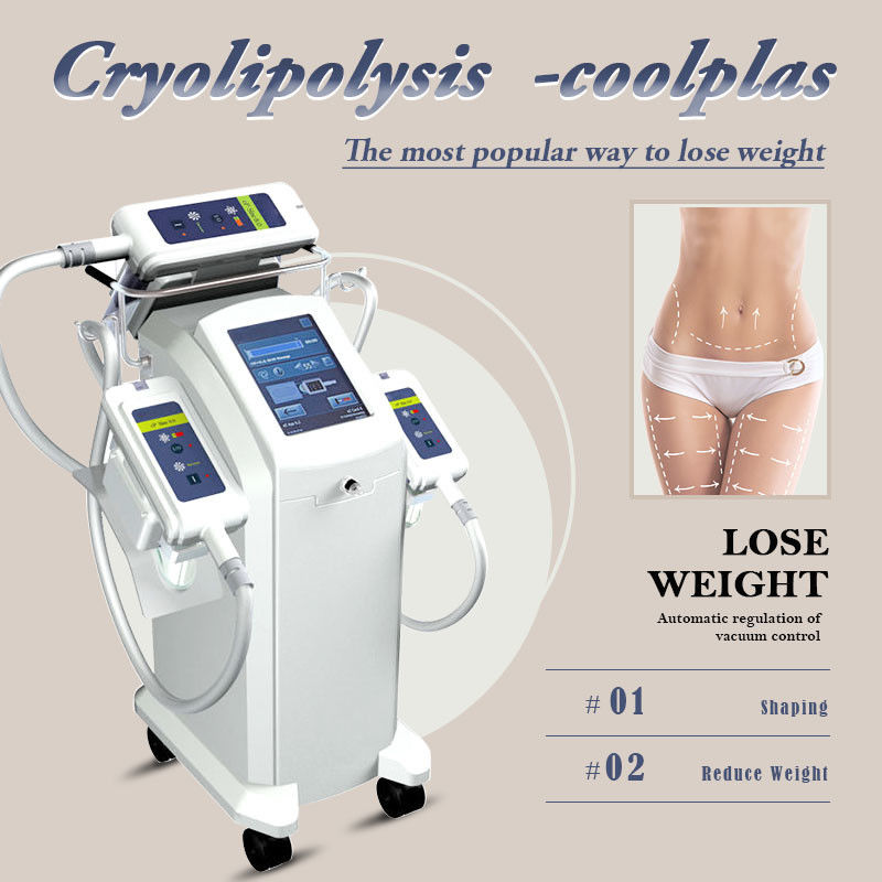 Body Slimming Cryo Fat Reduction Machine , Cryolipolysis Equipment