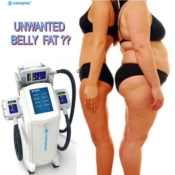 White Blue 360 Cryolipolysis Machine Fat Freezing Weight Loss With 3 Handles