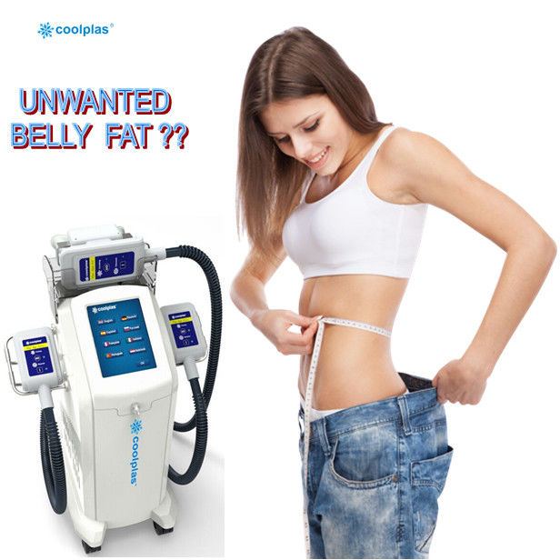 360 Cryolipolysis Slimming Machine Non Invasive wind cooling White Blue