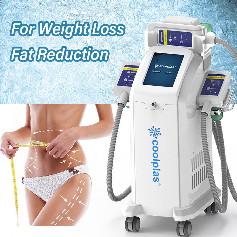 Weight Loss Cryolipolysis Slimming Machine Fat Reduction With 3 Handles